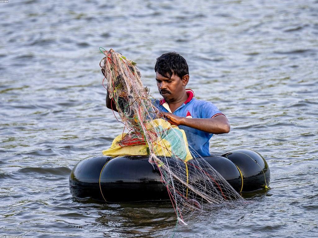 គន្លឹះសម្រាប់ការបាញ់ត្រី