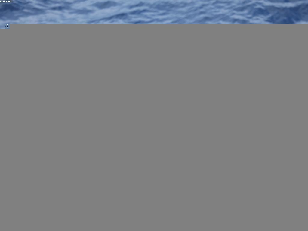 គន្លឹះនិងយុទ្ធសាស្រ្តសម្រាប់ការប្រកួតបាញ់ត្រី