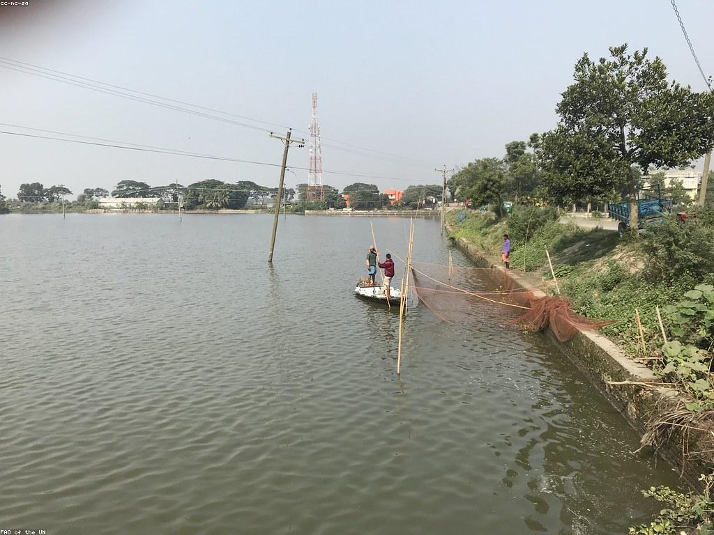 គន្លឹះសម្រាប់ការបាញ់ត្រី: បច្ចេកទេសថ្មីៗនិងការប្រើប្រាស់