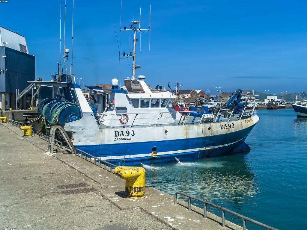 គន្លឹះសម្រាប់ការបាញ់ត្រី: បច្ចេកទេសដ៏ឆ្លាតវៃសម្រាប់ការបាញ់ត្រីជោគជ័យ