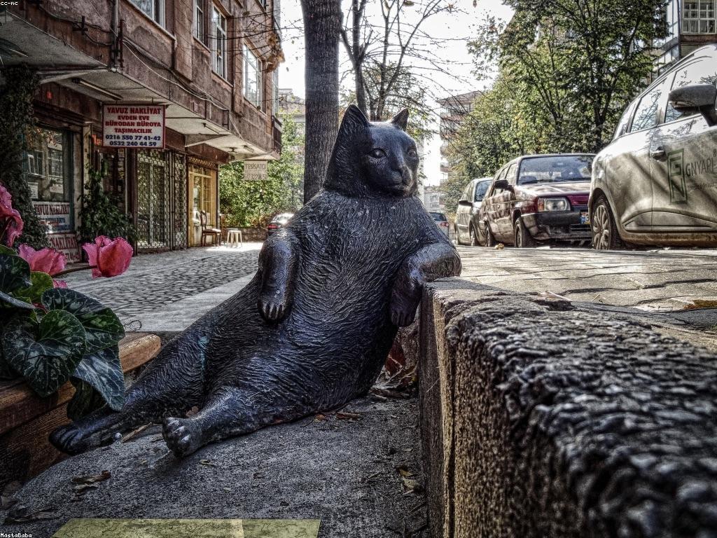 គន្លឹះសម្រាប់អ្នកចាប់ត្រីចាប់ផ្តើម