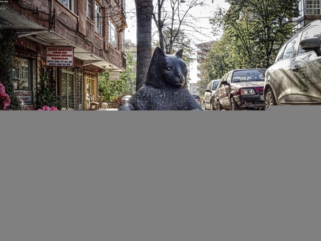 ឥទ្ធិពលនៃព័ត៌មានបច្ចុប្បន្នលើជីវិតប្រចាំថ្ងៃ